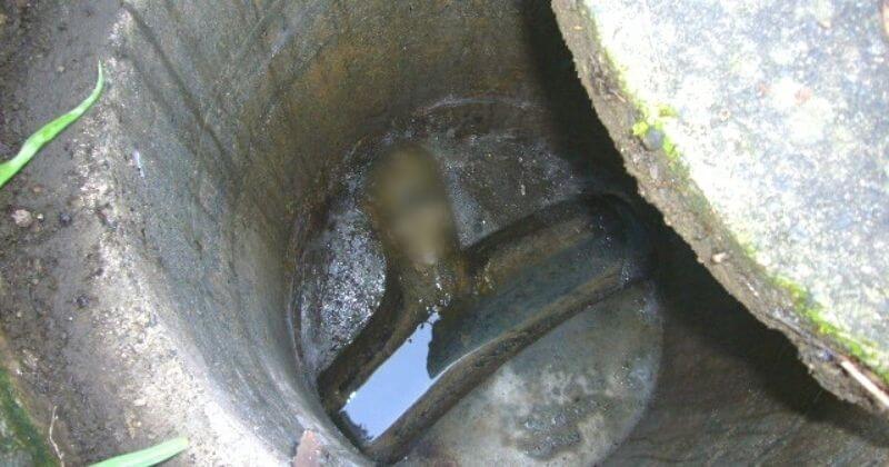 水漏れの原因となった排水管の詰まり