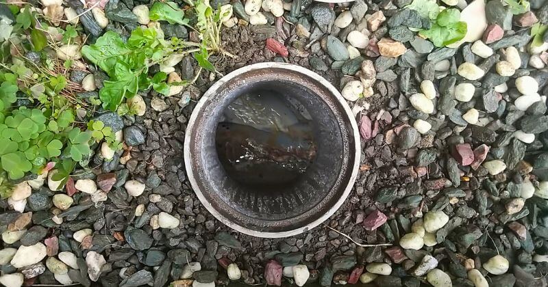 汚水桝から見た排水状況