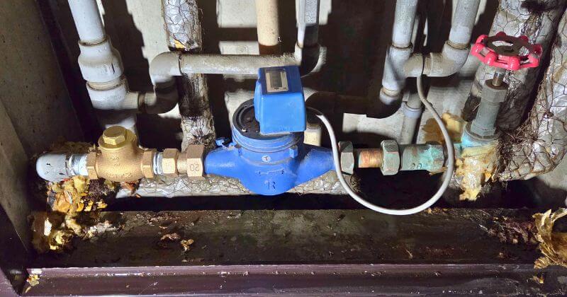 修理後の全体像