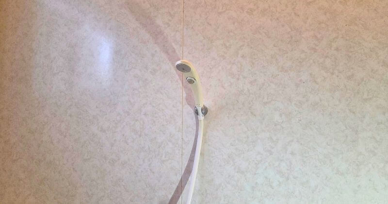 交換前のシャワーフック上段