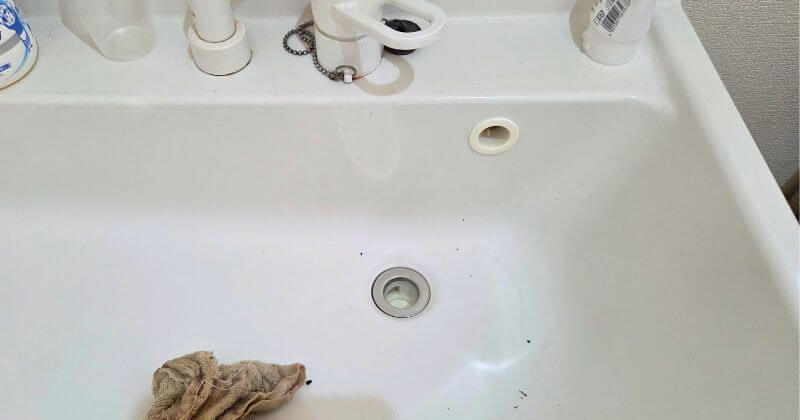 ボウル面から見た排水栓とオーバーフロー口の取付状況