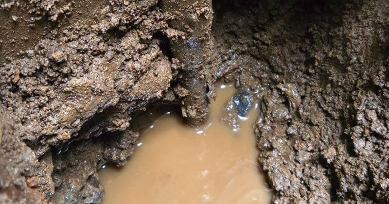 漏水箇所