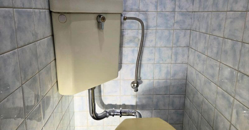 修理後の全体像